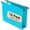 Blue, variant on Extra Capacity Plastic Hanging File Folder Letter Size,12 Pack Reinforced Hang Folders with Heavy Duty 2 Inch Expansion,Pink Hanging File Folder Designed for Bulky Files