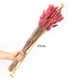 thumbnail image 3 of Hierba de la pampa seca y flores para ramos y jarrones decorativos - Rosewood Accent Elegancia eterna, 3 of 6
