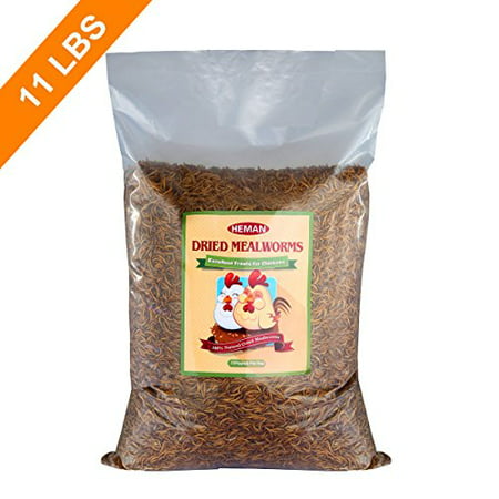 11 LBS Bulk Dried Mealworms for Wild Birds, Chichens, Duck (Best Food For Mealworms)