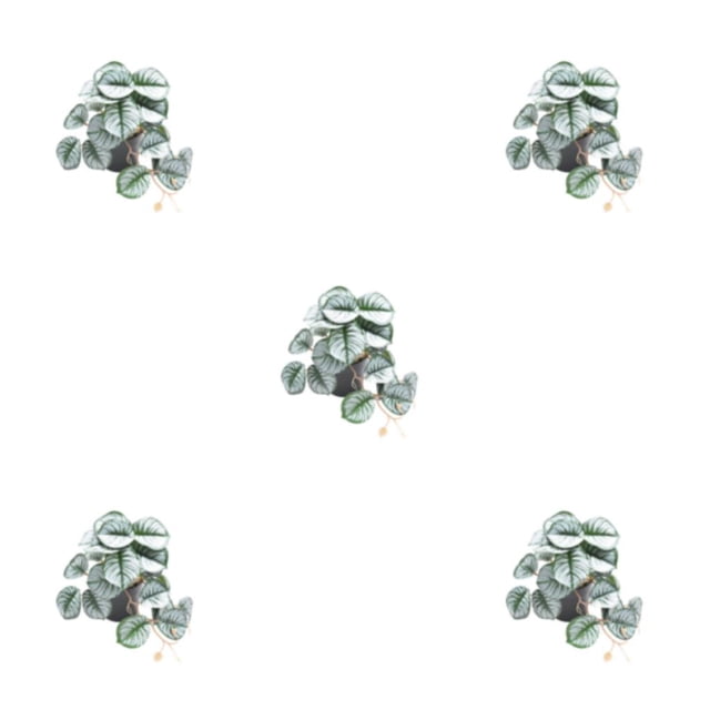 Billuyoard Plantas artificiales ecológicas para hábitats de reptiles - Plantas no tóxicas fáciles de limpiar Hoja de lira artificial Type2 NO2