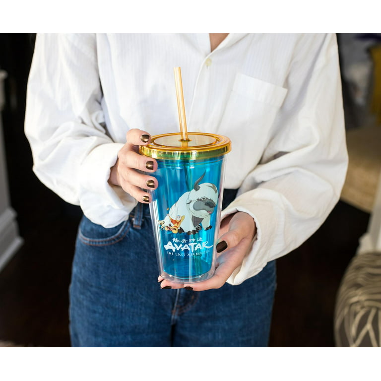 Custom Personalized Double Wall Fruit Infuser Tumbler with straws, Birthday  Gift