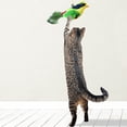 thumbnail image 1 of Jpxdew Oiseaux Réalistes Sound Jouet pour Chat, Feather Teaser Interactif avec Bell, Corde Suspendue Réglable pour Jeu Intérieur, 10g Léger, 1 of 6