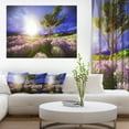 thumbnail image 1 of Lavender Field under Blue Sky, 1 of 3