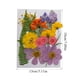 thumbnail image 2 of Advancent Artesanía de flores secas naturales Flores prensadas Ramos en relieve Decoración para tarjetas de boda Pintura de álbum de recortes Flores artificiales Typ 2 Advancent HA010760-02, 2 of 6