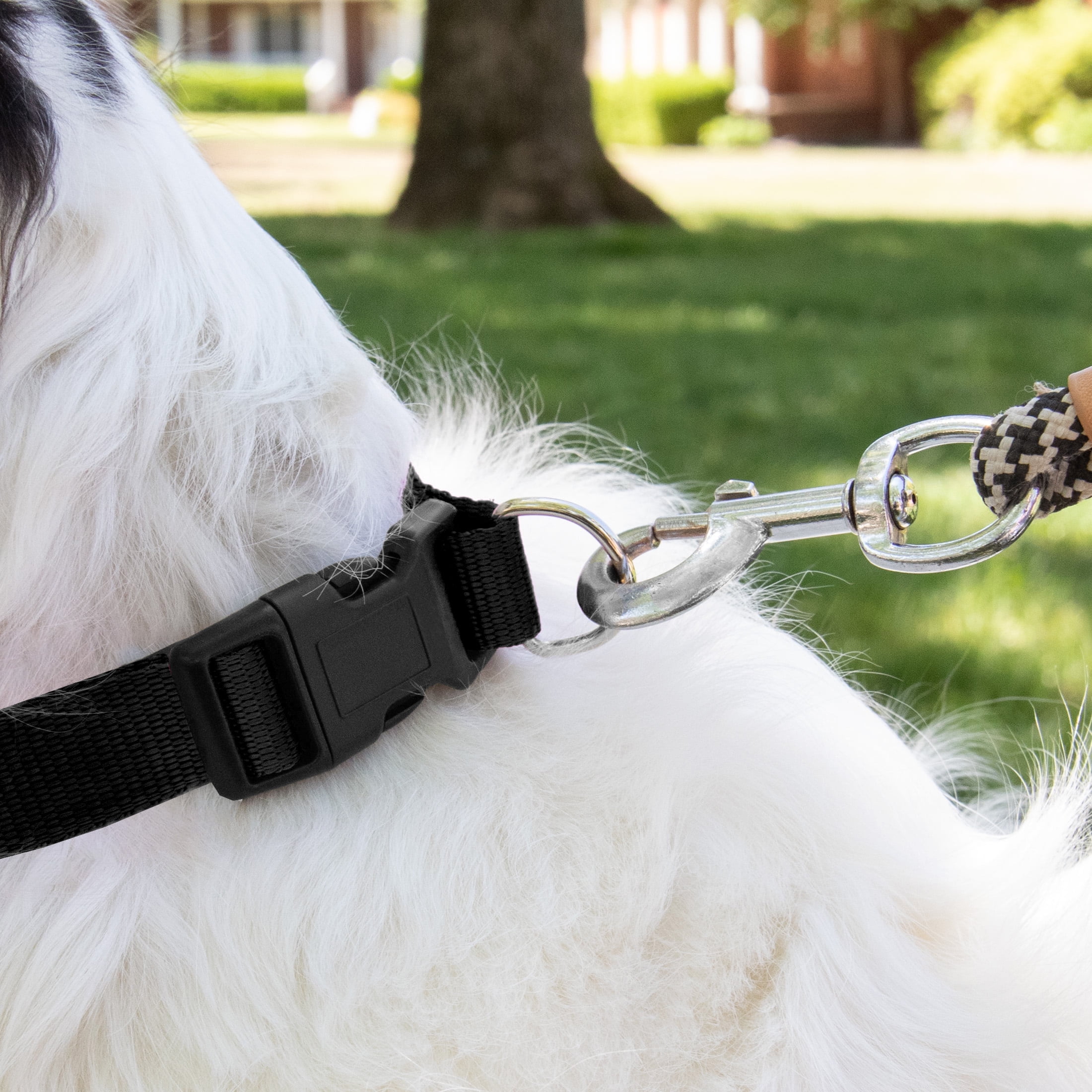 Pet Champion Dog Collar Large Black, 1.0 CT