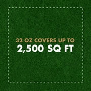 Spectracide Immunox Fungus Plus Insect Control for Lawns, 32 Ounces
