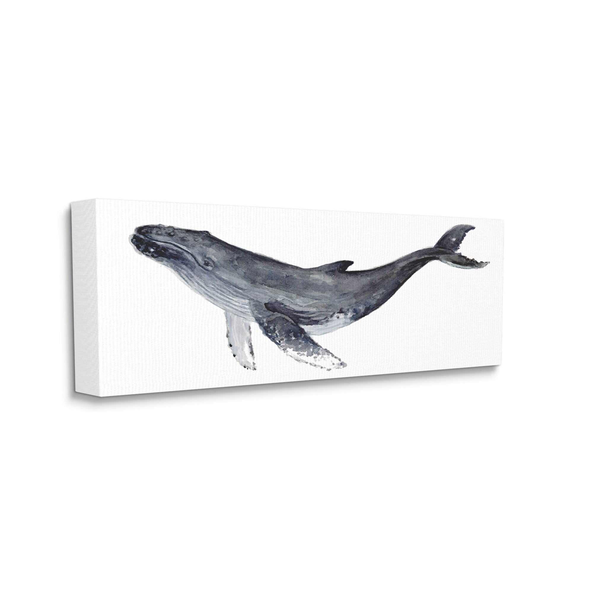 Stupell Industries Humpback Whale Watercolor Painting Aquatic Animal Portrait, 30 x 13,Design by Fox Hollow Studios