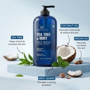 Botanic Hearth Tea Tree Face Wash With Mint | Acne Fighting, Premium, Hydrating Liquid Face Soap With Pure Tea Tree Oil | For Women And Men, Paraben Free, Fights Acne | 16 Fl Oz (Packaging May Vary)