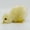 Style2, variant on BESTSKY Chicken Toys,Full and Plush Filling Chicken Little,Maintains Shape Over Time Farm Animal Toys,Style1