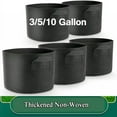 thumbnail image 1 of 3/5/10 Gallon Growth Bag, Reinforced Pot, For Gardening, Black, 1 of 7