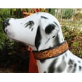 thumbnail image 5 of XSmall 9''- 13'' Padded Leather Dog Collar Heavy Duty Floral Tooled 60FK17, 5 of 5