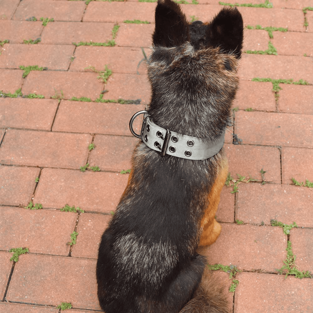 Tactical Dog Collar Reflective Nylon Dog Collar with Metal Buckle and Control Handle for Medium