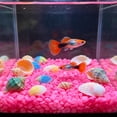 thumbnail image 2 of Sentmoon Fish Tank Decorations Aquarium Accessories 9x13mm Small Rhombus Shaped In The Dark Pebbles for Garden and Aquarium Substrate Luminous Pebbles Fluorescent Stones, 2 of 7