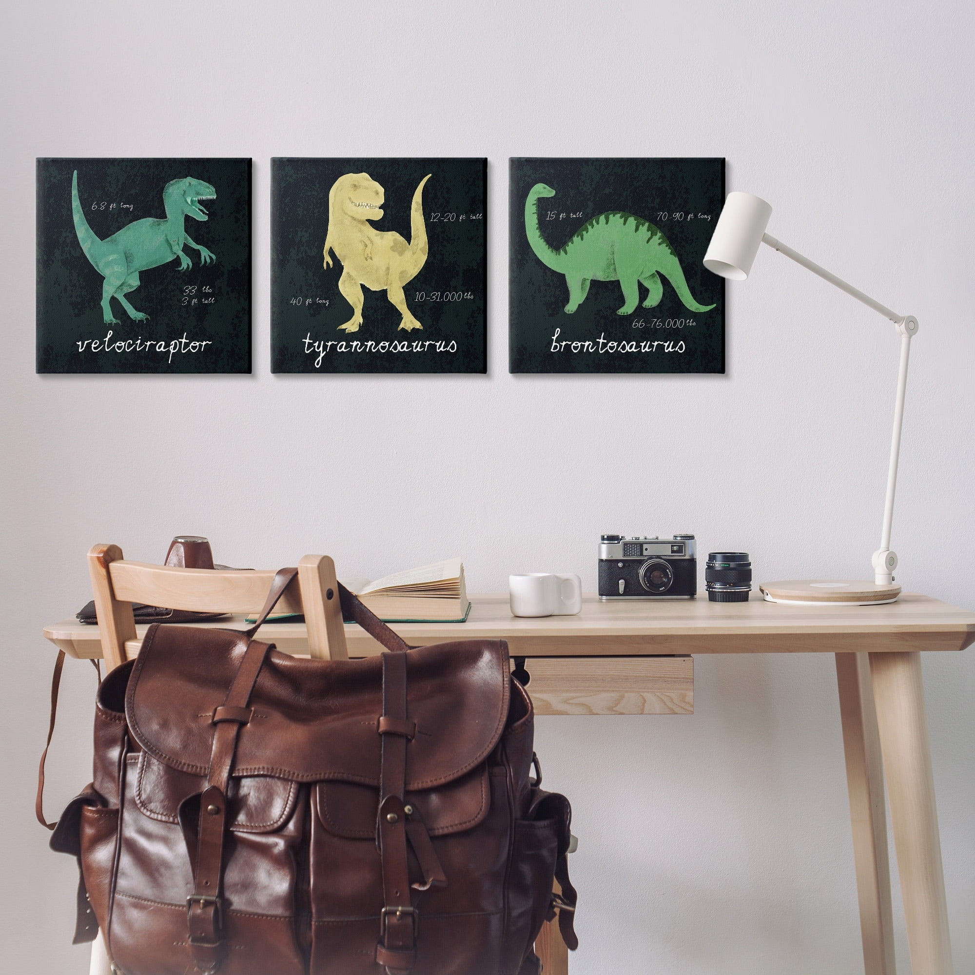 Kid's Dinosaur Size Facts Chalk Inspired Design Animals & Insects Gallery-Wrapped Canvas Print Wall Art, Set of 3, 17x17