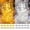 20pack-warm+cool White, variant on 20 Pack LED Fairy Lights Battery Operated,7FT 20 LED Waterproof Mini Twinkle String Lights for Wedding Mason Jars Party Christmas Decorations,Warm White and White