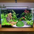 thumbnail image 3 of Shrimp Dome Hide & Betta Fish Cave - Porous Aquarium Shelter for Small Fish, Shrimp Habitat, Rest and Breeding, Terrarium Decor with Natural Stone Look, 3 of 4