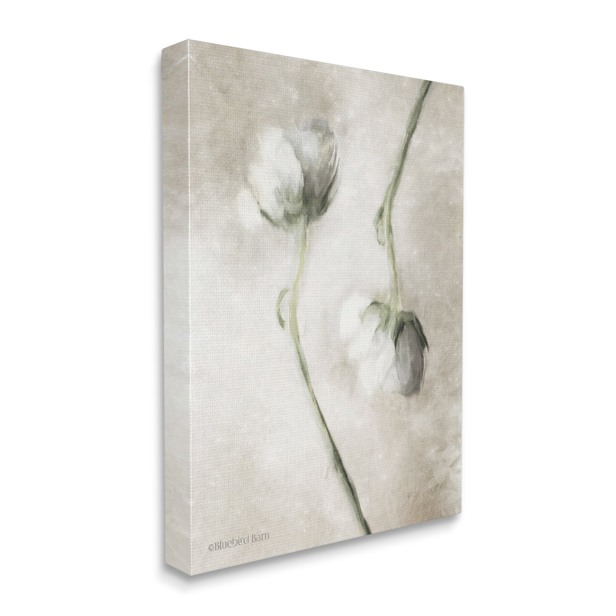 Stupell Industries White Floral Stems Botanical Vintage Rose Blossom Painting,16 x 20, Design by Bluebird Barn