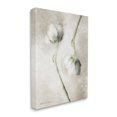 thumbnail image 3 of Stupell Industries White Floral Stems Botanical Vintage Rose Blossom Painting,16 x 20, Design by Bluebird Barn, 3 of 5