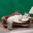 thumbnail image 4 of kurtrusly Lit à Gratter pour Chat et Chaton Chaise à Gratter Pad Board, 4 of 8