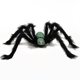 thumbnail image 1 of Juego de decoración de Halloween Yashi con telarañas estilo 5 atmósfera de terror, 1 of 1