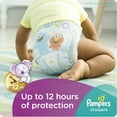 thumbnail image 4 of Pampers Cruisers Diapers Size 5 66 count, 4 of 9