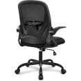 thumbnail image 1 of Primy Ergonomic Office Chair Desk Chair with Adjustable Lumbar Support(Black), 1 of 6