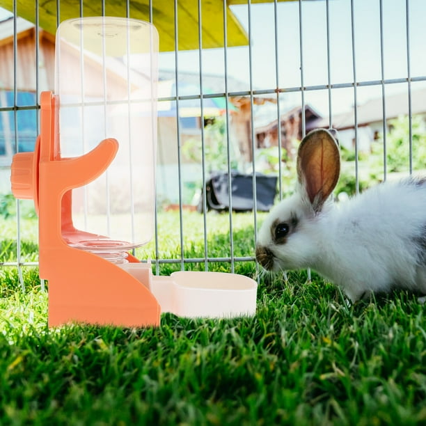 Rabbit water hotsell bottle walmart