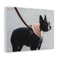 thumbnail image 1 of Custom Canvas Gallery Wraps - Pet Lover Gifts, 1 of 24