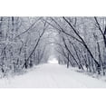 thumbnail image 4 of Fondos fotográficos con escena de nieve y árboles en el bosque invernal de Yeele para sesión fotográfica, decoración, fondos fotográficos para estudio fotográfico, 4 of 5