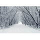 thumbnail image 4 of Fondos fotográficos con escena de nieve y árboles en el bosque invernal de Yeele para sesión fotográfica, decoración, fondos fotográficos para estudio fotográfico, 4 of 5