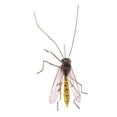 thumbnail image 2 of Fly Fishing Flies Flies Fish Hook s Artificial Coloful, 2 of 8