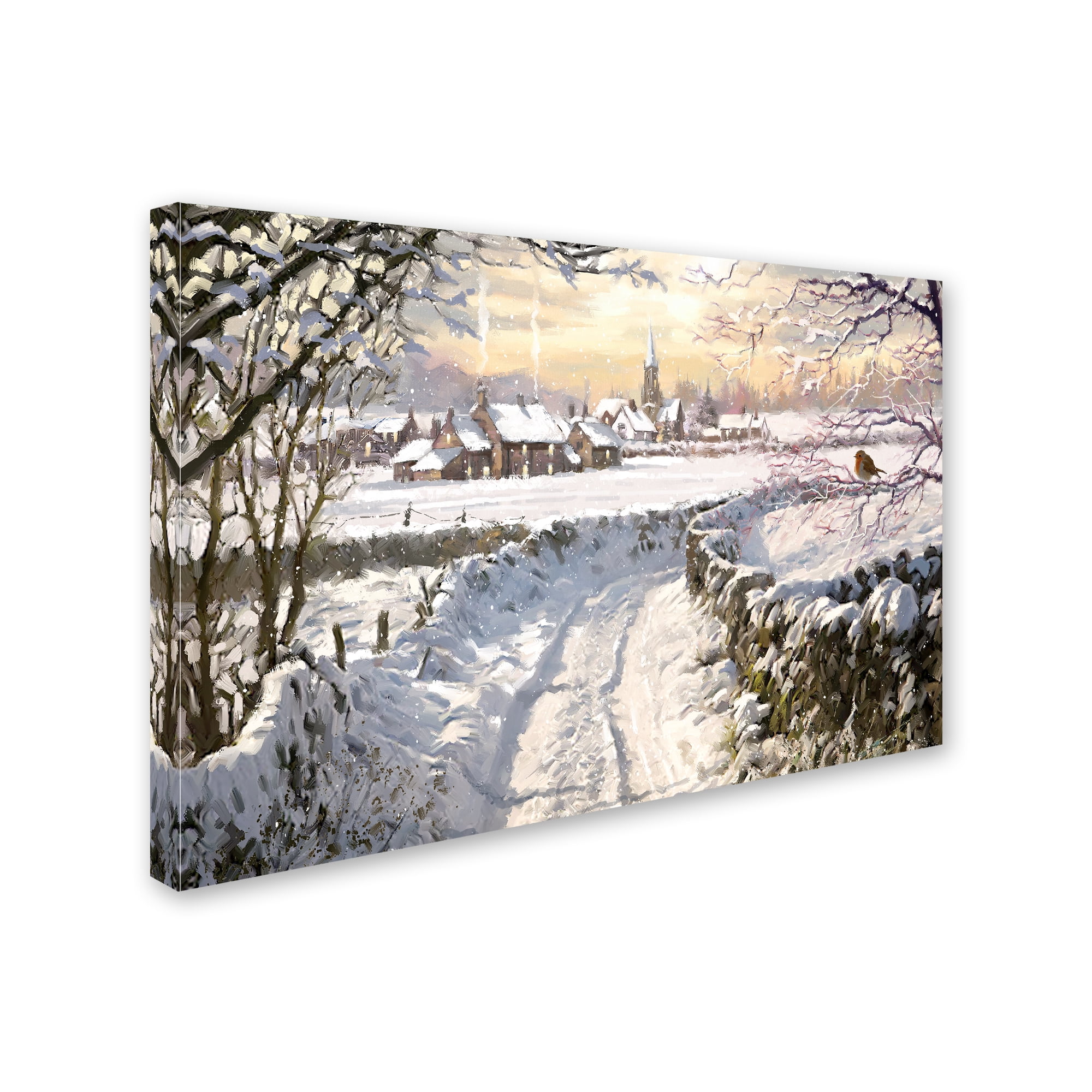 Trademark Fine Art 'Snowy Lane' Canvas Art by The Macneil Studio