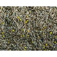 thumbnail image 3 of Barenbrug 92620 Equine & Forage Overseeding Mix 25 lb., 3 of 3