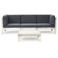 thumbnail image 1 of Noble House Canapé d'Extérieur Brava et Table Basse Ensemble Coussins Patinés/gris Foncé, 1 of 11