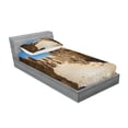 thumbnail image 2 of Ambesonne Galaxy Fitted Sheet & Pillow Sham Set, Abandoned Tunisian Set, Twinxl, Brown Blue, 2 of 2