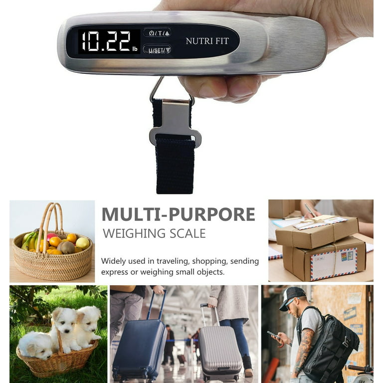 Camry Digital Luggage Scale, Portable Handheld Baggage Scale for Travel,  Suitcase Scale with Hook,110 Pounds, Battery Included