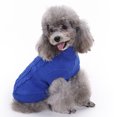 thumbnail image 3 of Suéter de color liso para perro Desiderio Ropa para mascotas Suéter cálido y cómodo en invierno, 3 of 6