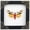 Butterfly 14, variant on Yellow Moth Butterfly Display Real Frame Shadow Box Wall Decor Curiosity Cabinet Insect Art Home Decoration Nature Lover Gift For Women Desk Or Wall Display K12-31-DE