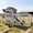 Gray, variant on Aivituvin 82.4" Chicken Coop with Wheels, Large Hen House with Run, Chicken Cage for 4-6 Chickens, Weatherproof Asphalt Roof, Nesting Box & Pull-Out Tray (Red)