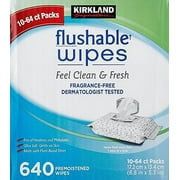 Kirkland Signature Moist Flushable Enhanced Cleansing & Freshness Ultra Soft Hypoallergenic Plant-Based Wipes - 640 Count