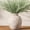 Retro-7.4", variant on Ceramic Flower Vase Home Decor - Large Farmhouse Table Vases Rustic Vintage Living Room Kitchen Bedroom Decorations for House Book Shelf Office Coffee Desk Dining Fireplace