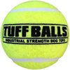 Petsport USA 70016 Junior Tuff Balls Dog Toy 2 Count