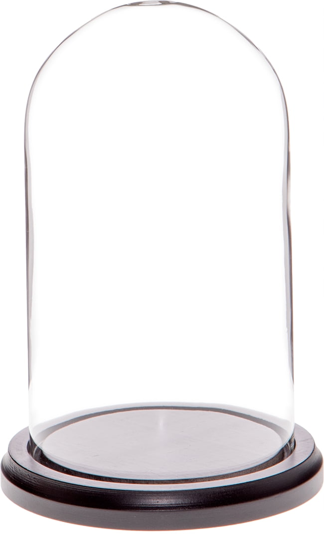 no Base Plymor Miniature 1" x 1.5" Mini Glass Display Dome TINY Cloche 