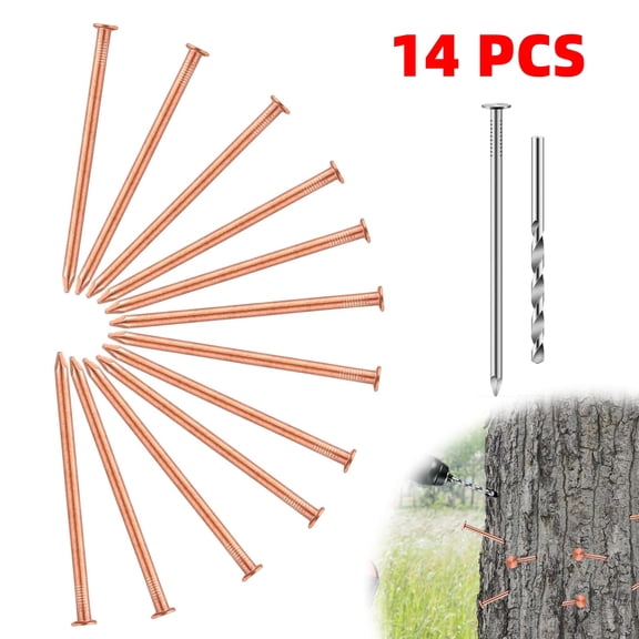 14 Pcs 3.5" Copper Nails Spikes for Tree Killing, Stump Removal with Steel Nails Cobalt Drill Bit Nails for Landscaping & Gardening