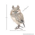 thumbnail image 4 of 8.5" Speckled Hoot Owl, 4 of 4