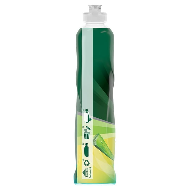 aloe vera in arizona Aloe Ferox| Cape Aloe | Large Aloe Plants For Sale Online