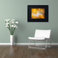 thumbnail image 4 of Trademark Fine Art "Ginkgophytes" Canvas Art by Philippe Sainte-Laudy Black Matte, Black Frame, 4 of 5