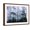 Brown Frame, variant on Art.com Silhouette of Trees with Fog in the Forest, Douglas Fir, Hemlock Tree, Olympic Mountains Photographic Print, 16" x 12"