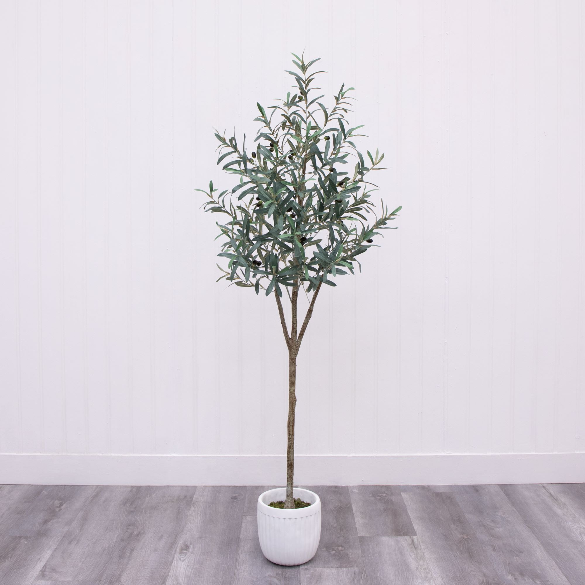 Free Shipping! Better Homes & Gardens 6'H Artificial Indoor Olive Tree in  Ceramic Container - Walmart.com