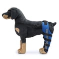 thumbnail image 2 of Doble protección de la pierna trasera Rodillera para perro para la artritis dislocada de la rótula Acl Mantiene la articulación caliente Soporte adicional - blue2 L- dontodent Kuyhfg Sin marca, 2 of 5